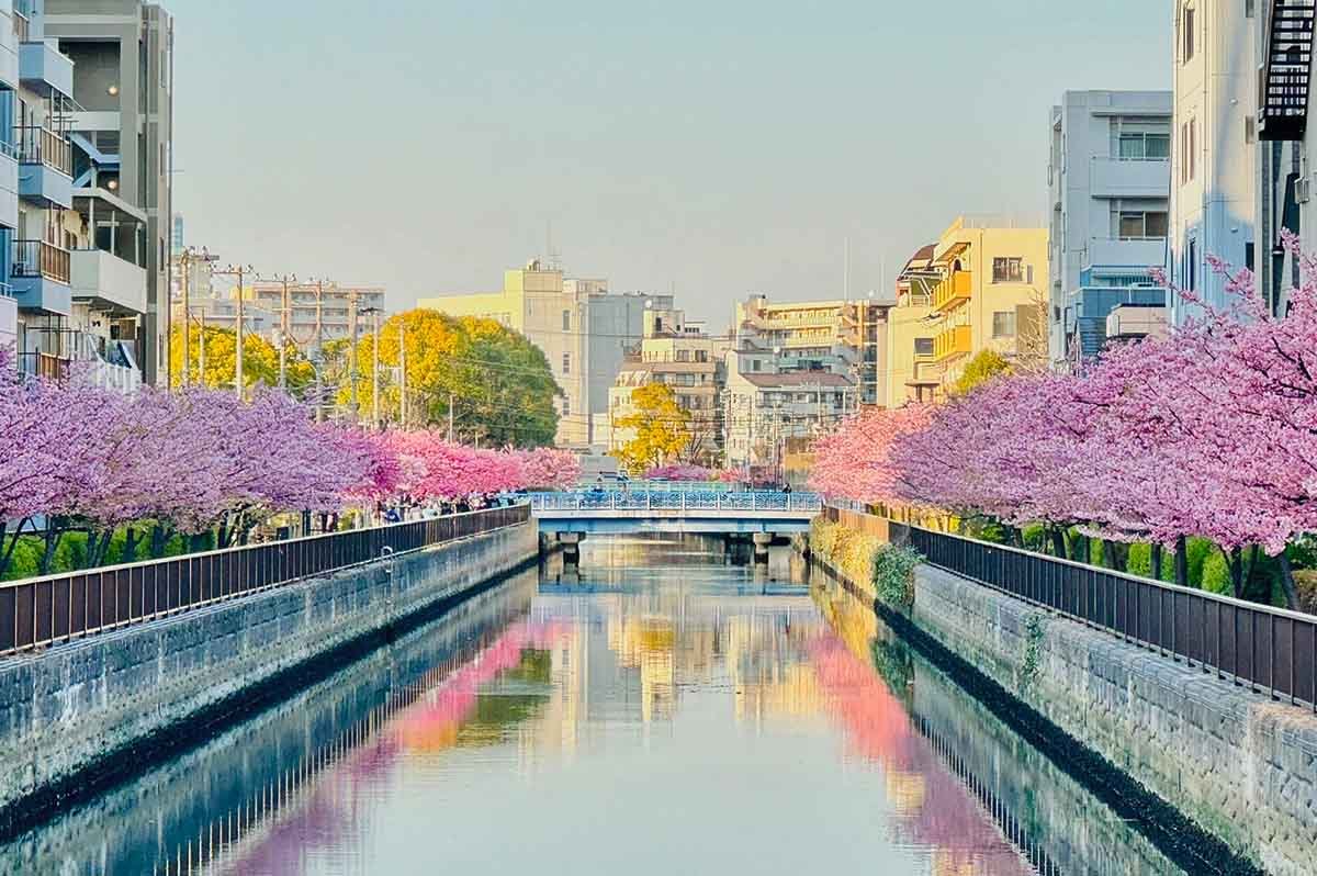 🌳 니시가하라 모두의 공원(니시가하라 민나노 코엔) 이미지 7